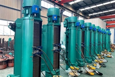 Diferencie entre várias talhas elétricas de 10 toneladas